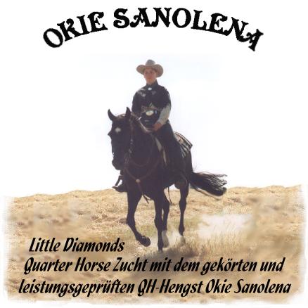 Zu Okie�s Homepage bitte HIER klicken !